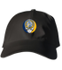 339 - Custom Stealie Dad Hat