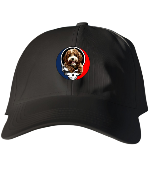 792 - Custom Stealie Dad Hat