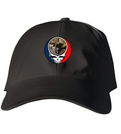 800 - Custom Stealie Dad Hat