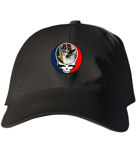 802 - Custom Stealie Dad Hat