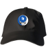 770 - Custom Stealie Dad Hat