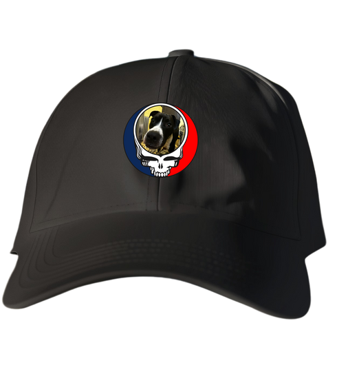 336 - Custom Stealie Dad Hat