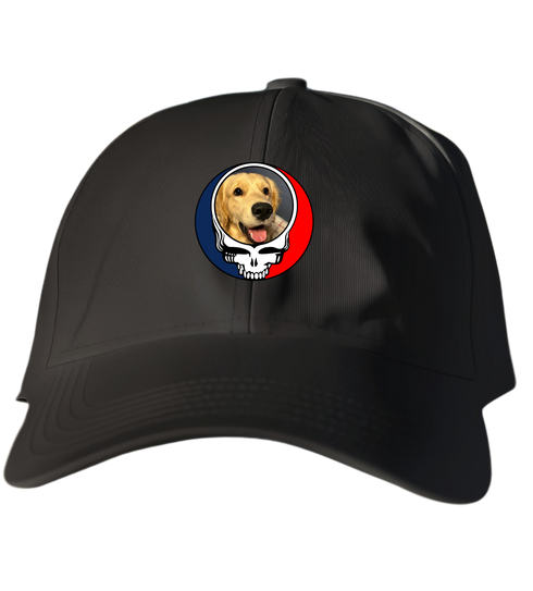 794 - Custom Stealie Dad Hat