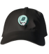 796 - Custom Stealie Dad Hat