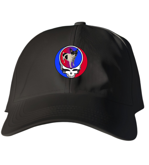 359 - Custom Stealie Dad Hat