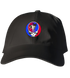 359 - Custom Stealie Dad Hat
