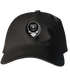 354 - Custom Stealie Dad Hat