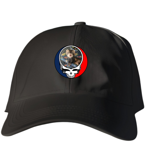 769 - Custom Stealie Dad Hat