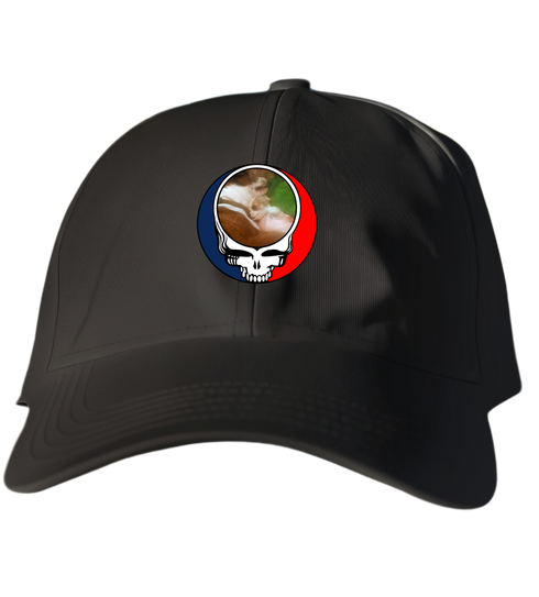 774 - Custom Stealie Dad Hat