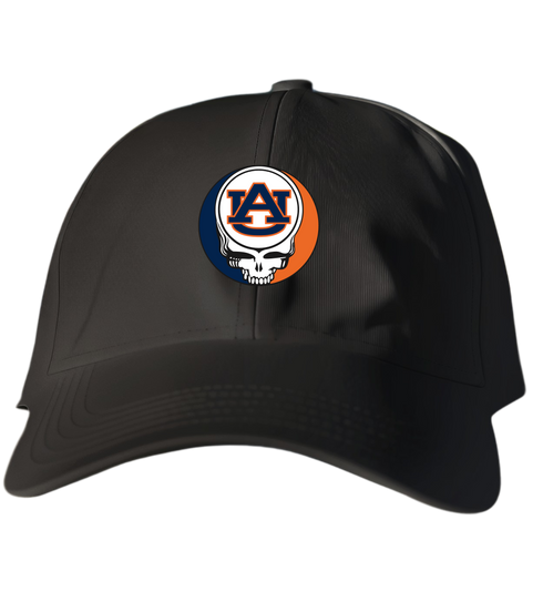 341 - Custom Stealie Dad Hat
