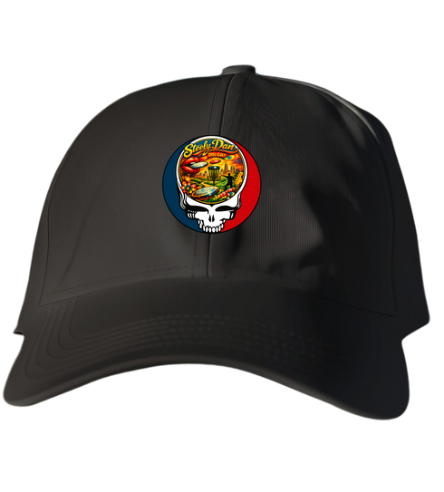 804 - Custom Stealie Dad Hat