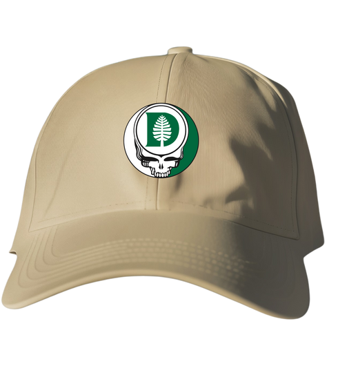 807 - Custom Stealie Dad Hat