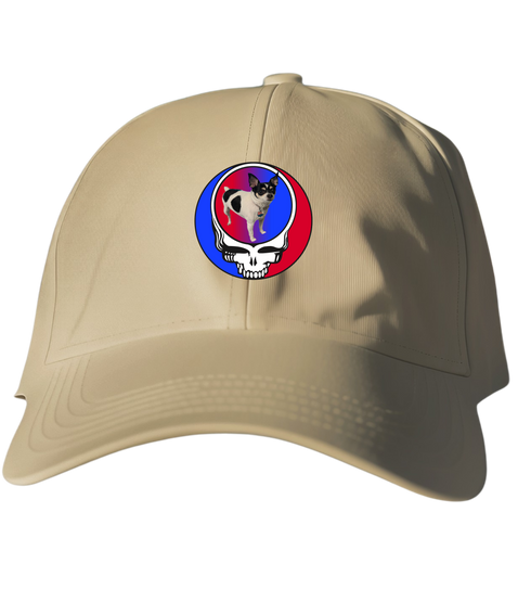 359 - Custom Stealie Dad Hat