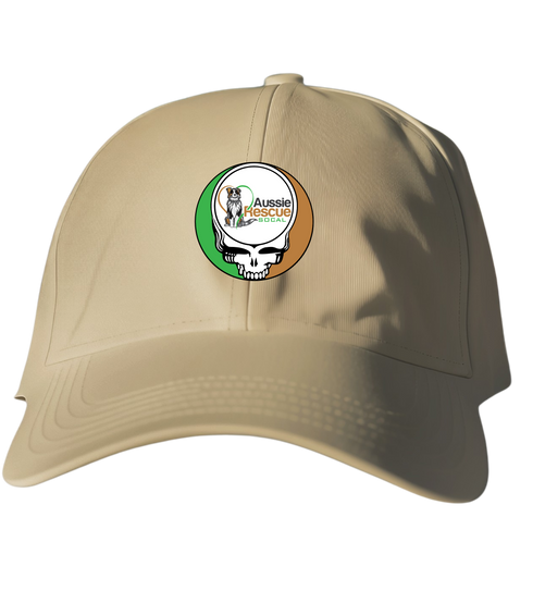 803 - Custom Stealie Dad Hat