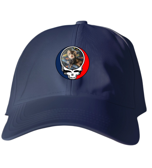 769 - Custom Stealie Dad Hat