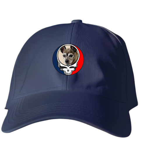 345 - Custom Stealie Dad Hat