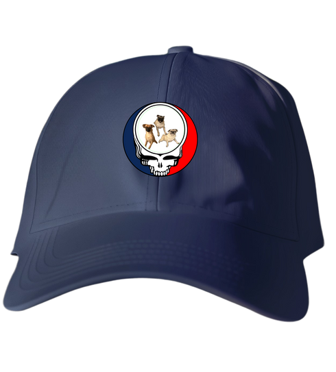 771 - Custom Stealie Dad Hat