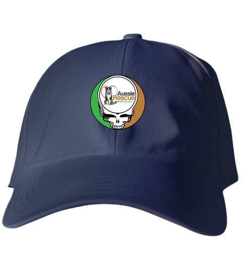 803 - Custom Stealie Dad Hat