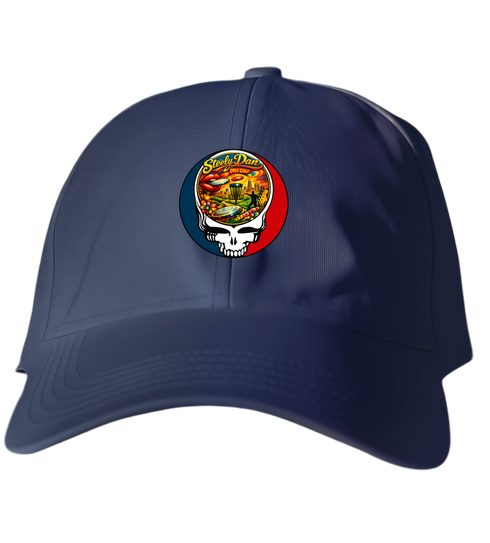 804 - Custom Stealie Dad Hat