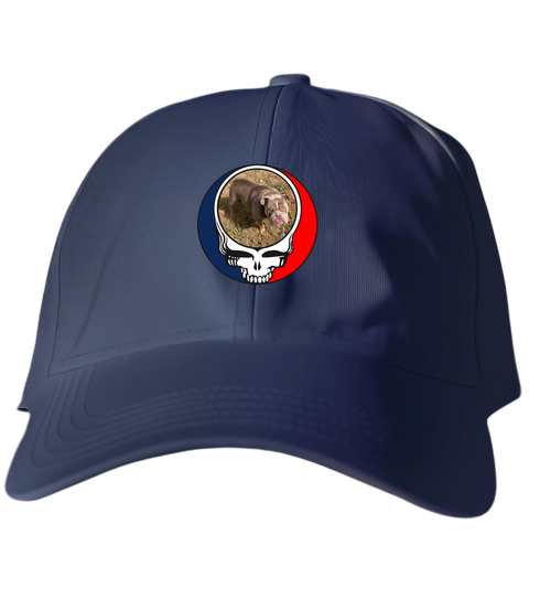 347 - Custom Stealie Dad Hat