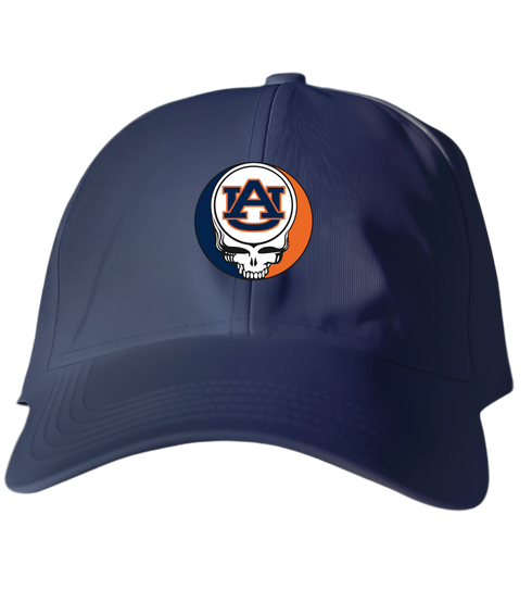 341 - Custom Stealie Dad Hat