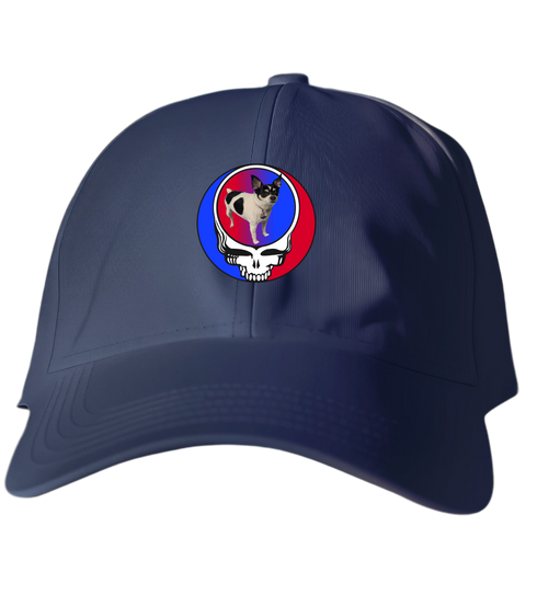 359 - Custom Stealie Dad Hat