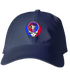 359 - Custom Stealie Dad Hat