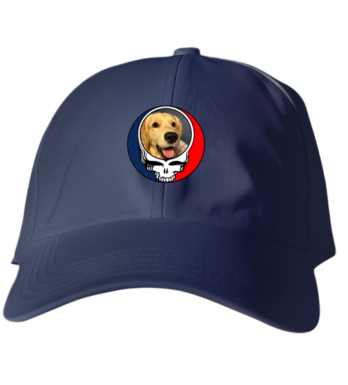 794 - Custom Stealie Dad Hat