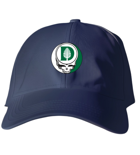 807 - Custom Stealie Dad Hat