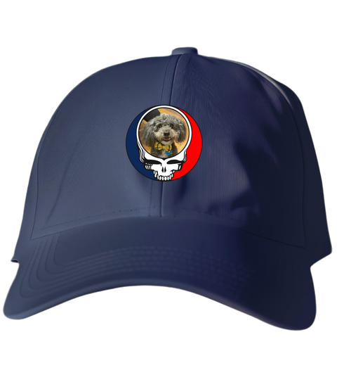 799 - Custom Stealie Dad Hat