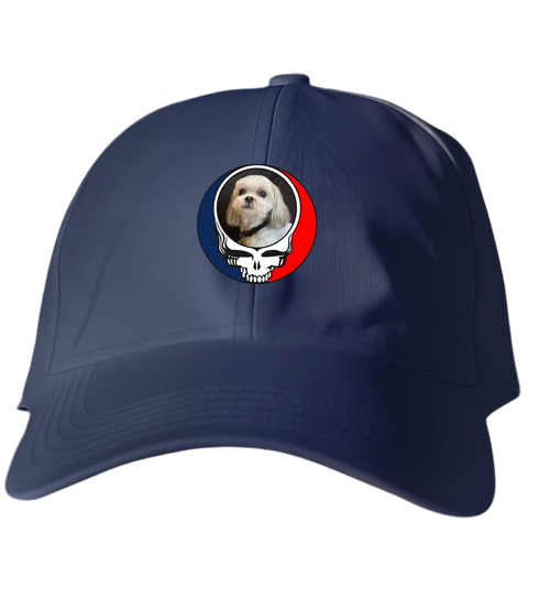 333 - Custom Stealie Dad Hat