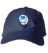 364 - Custom Stealie Dad Hat