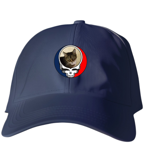 783 - Custom Stealie Dad Hat