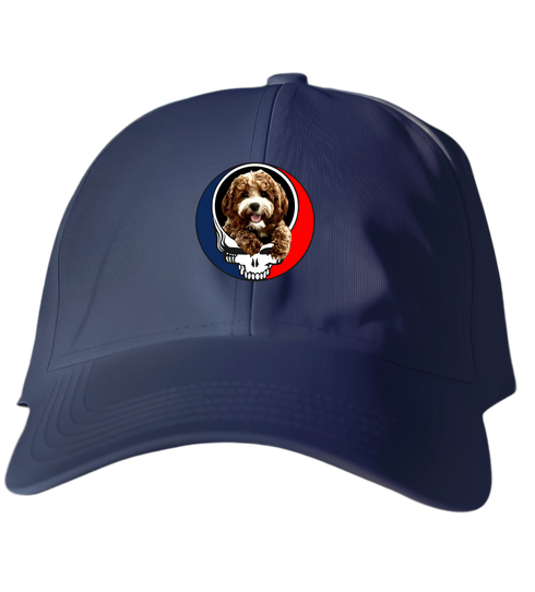 792 - Custom Stealie Dad Hat