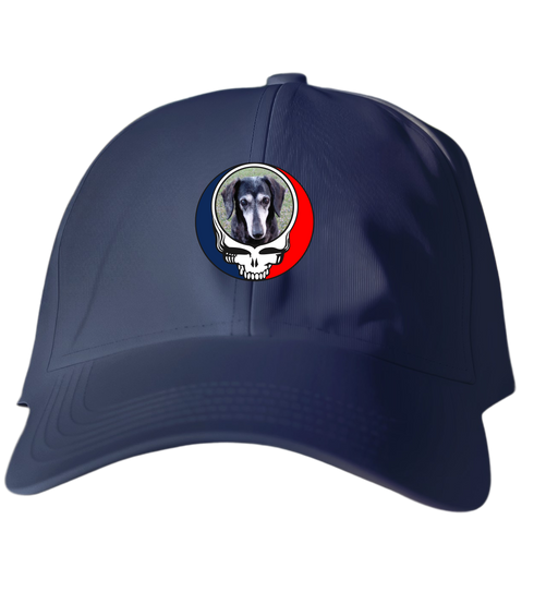 355 - Custom Stealie Dad Hat