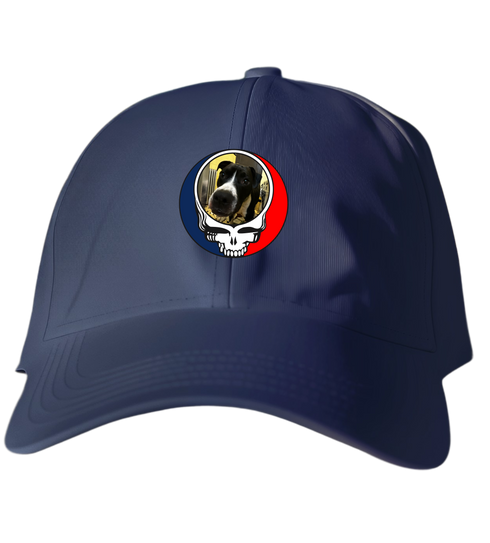 336 - Custom Stealie Dad Hat