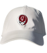 806 - Custom Stealie Dad Hat
