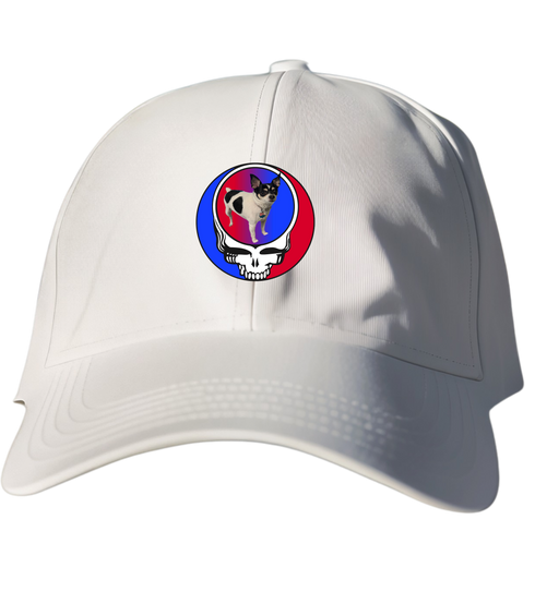 359 - Custom Stealie Dad Hat