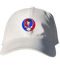 359 - Custom Stealie Dad Hat