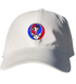 359 - Custom Stealie Dad Hat