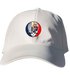 793 - Custom Stealie Dad Hat
