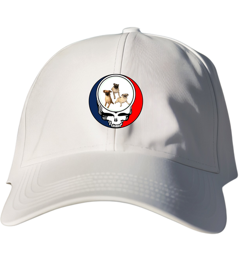 771 - Custom Stealie Dad Hat