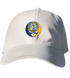 339 - Custom Stealie Dad Hat