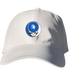 770 - Custom Stealie Dad Hat