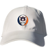 341 - Custom Stealie Dad Hat