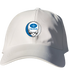 364 - Custom Stealie Dad Hat