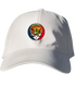 804 - Custom Stealie Dad Hat