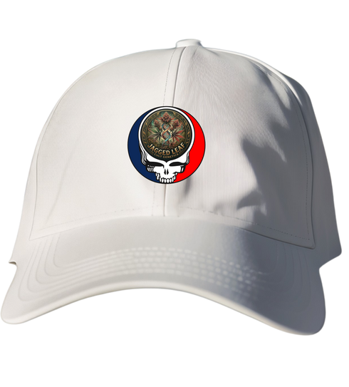340 - Custom Stealie Dad Hat