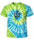 Compass Stealie Tie-Dye Grateful Dead T-Shirt