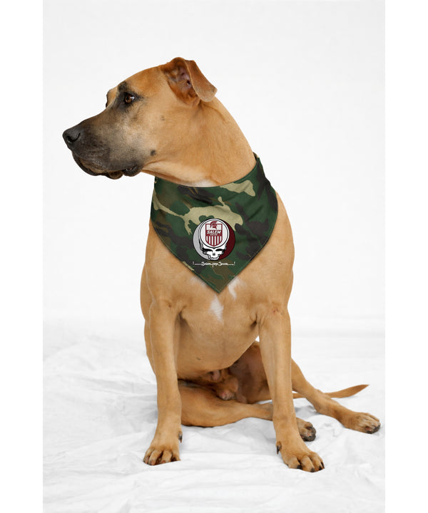 Custom Salem Soccer Stealie Grateful Dead Dog Bandana - Fits Most Dogs...and Humans